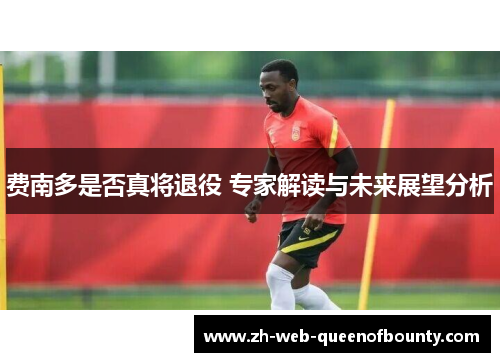 费南多是否真将退役 专家解读与未来展望分析