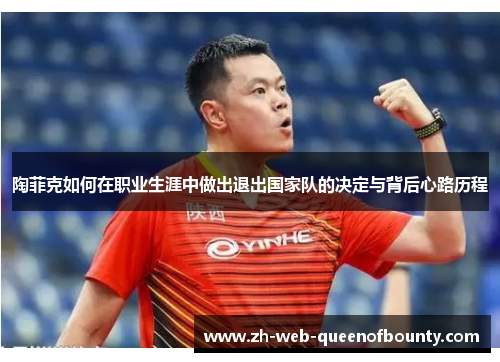 陶菲克如何在职业生涯中做出退出国家队的决定与背后心路历程
