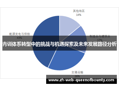 青训体系转型中的挑战与机遇探索及未来发展路径分析